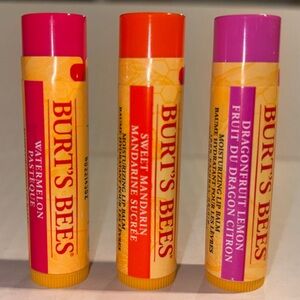 ❄️5/$25❄️ Burt's Bees Lip Balm Set